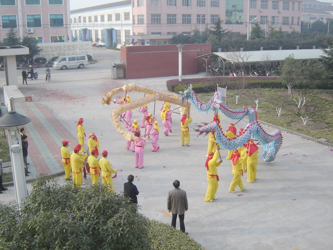 新年舞龙.jpg
